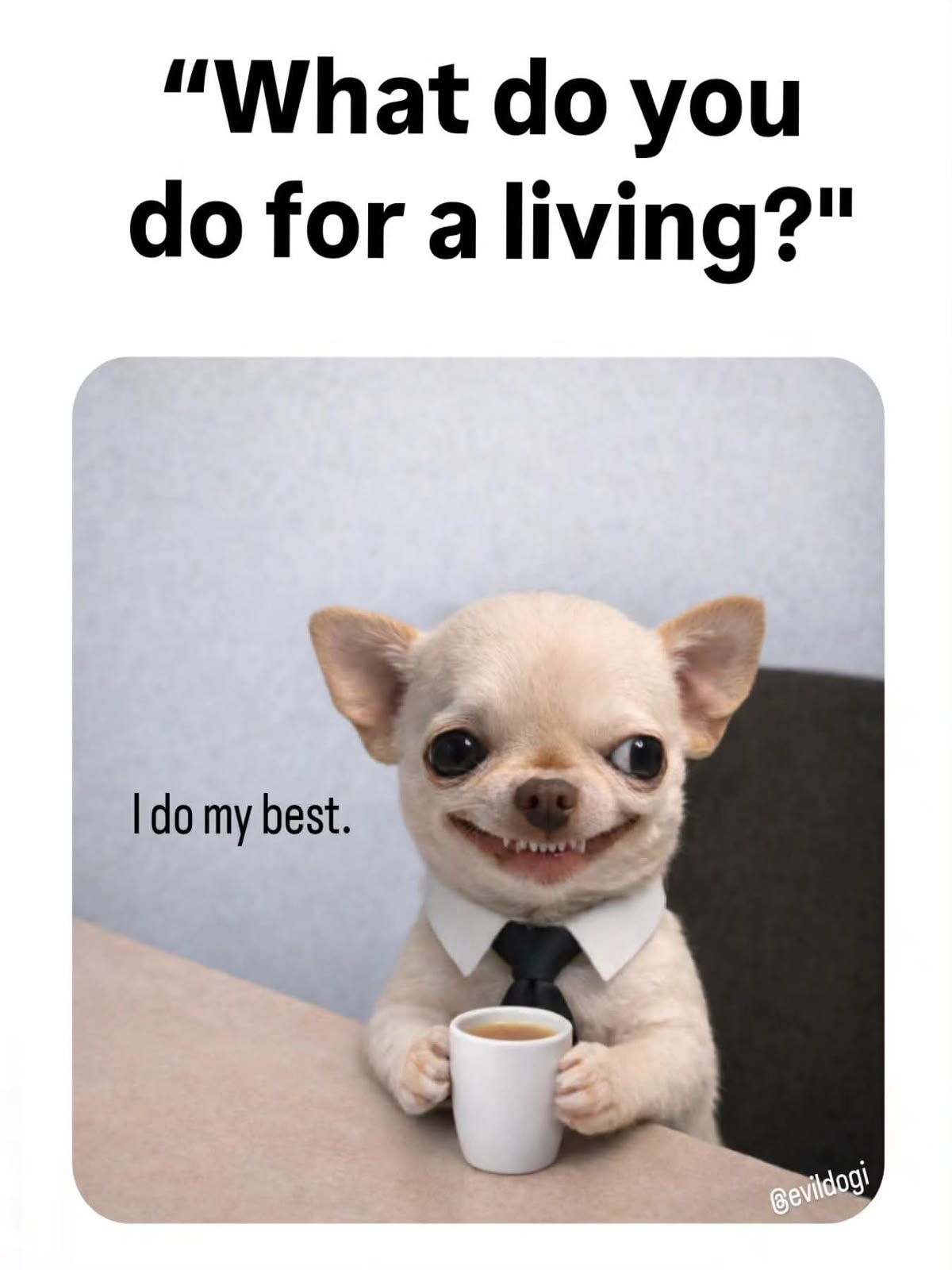 Little dog with wild eyes drinking coffee and wearing a tie with the caption,